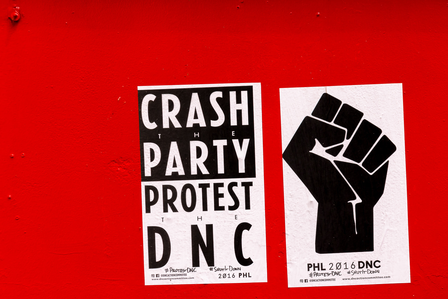 Crash the Party Protest Flyer