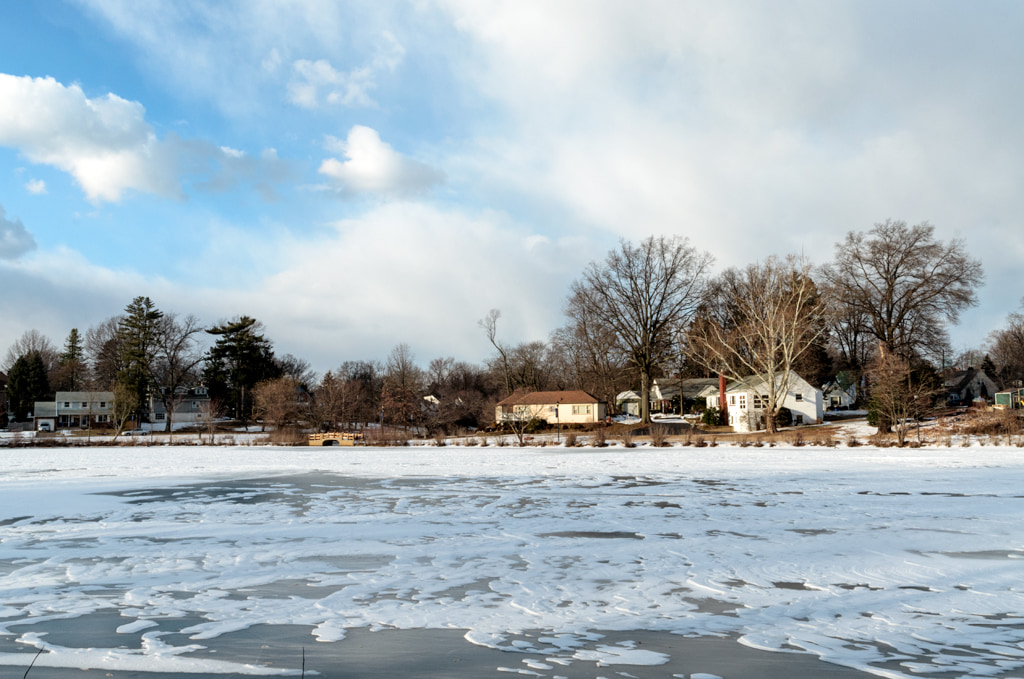 Cold Lake View