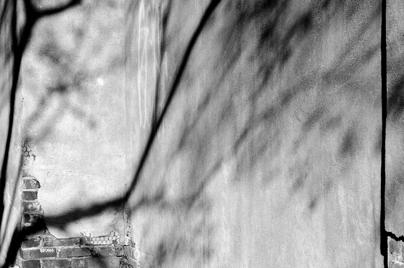 Courtyard and Shadows