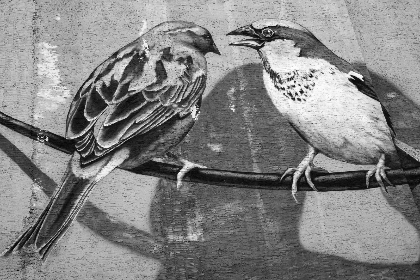 Two Sparrows on a Mural