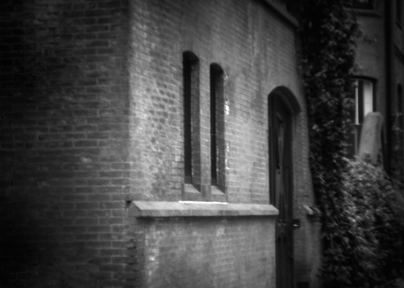 Door with Ivy