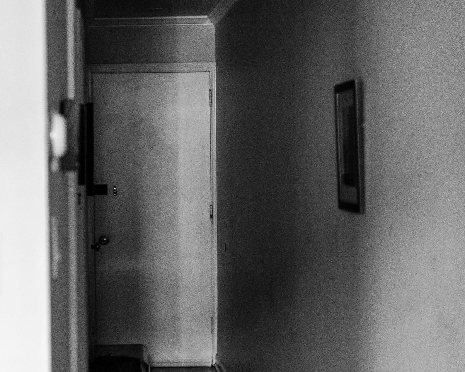 Spruce, Interior