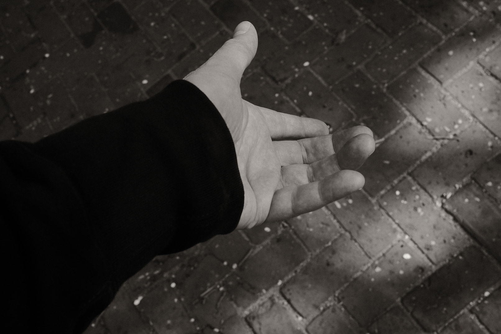 Portrait of a Hand