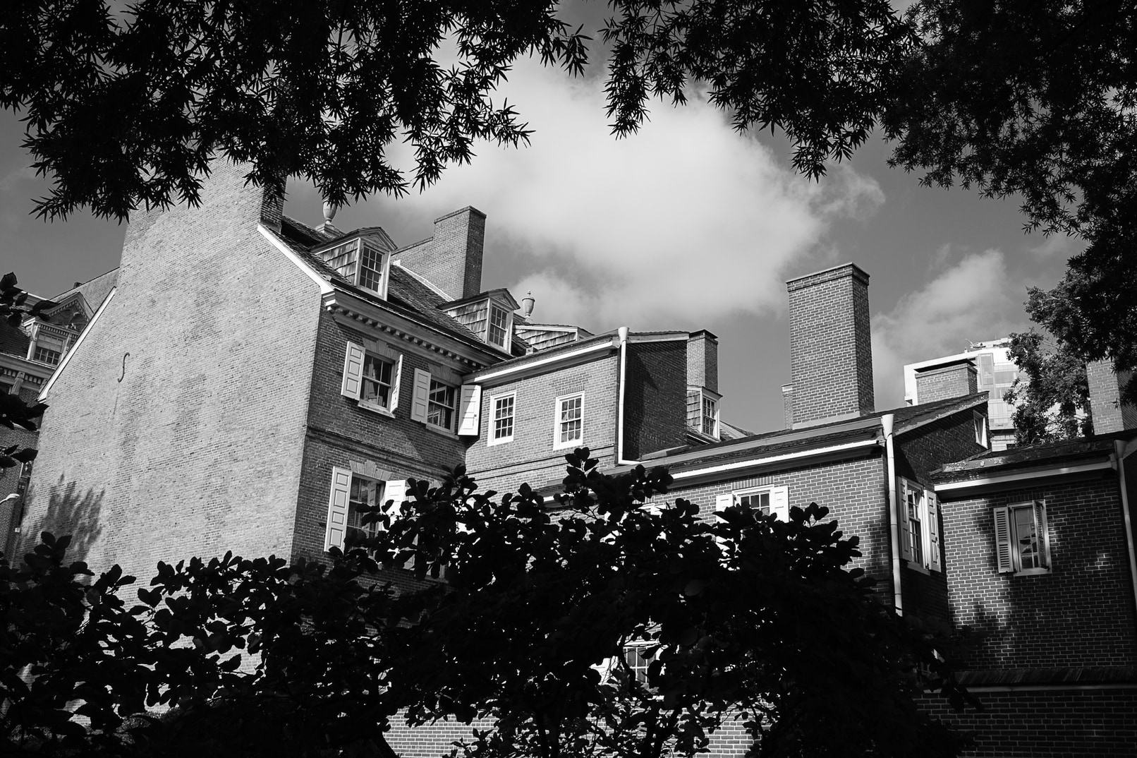 The House Next to the Rush House