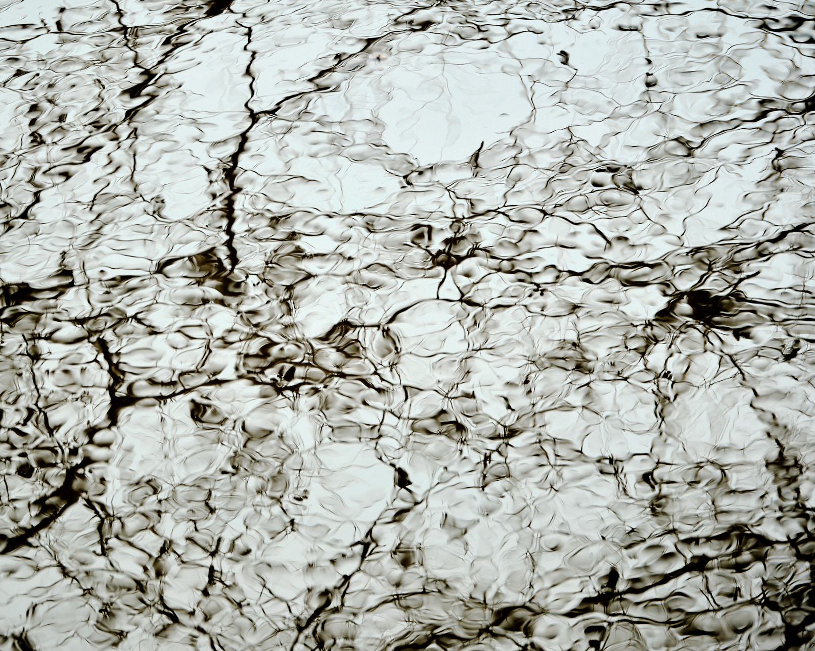 Abstract reflections.