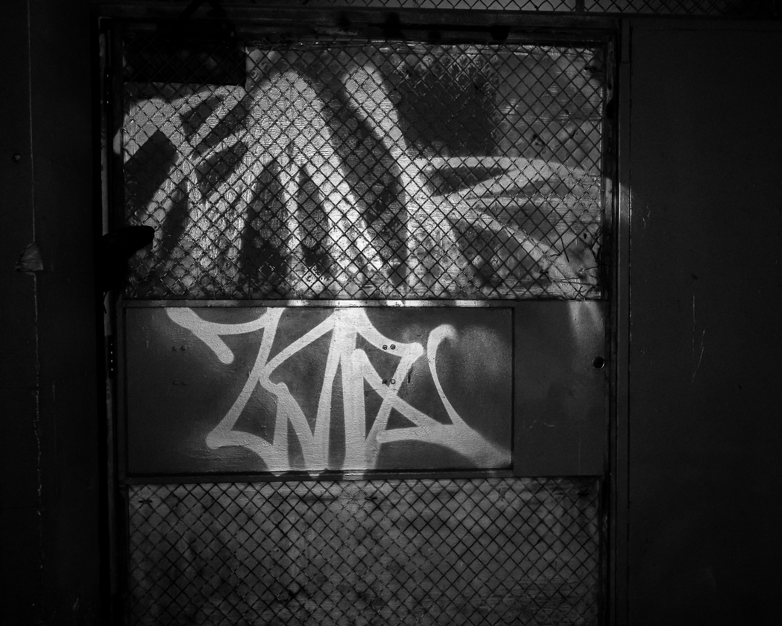 Graffiti on Alley Door