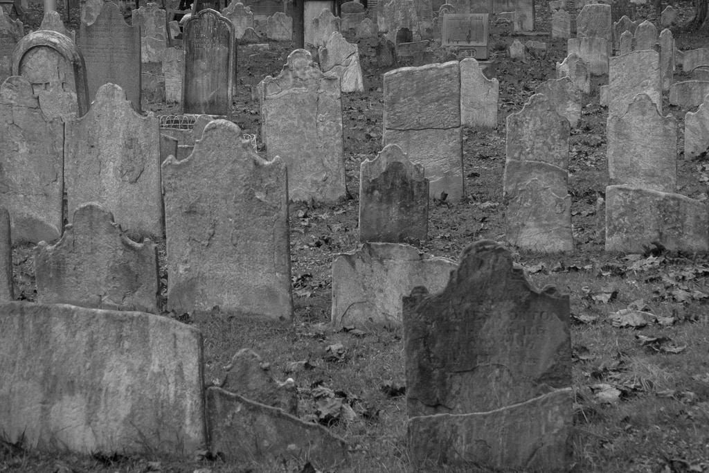 Greyer Ghosts