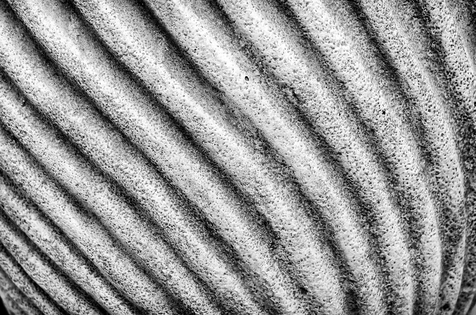 Detail of Planter