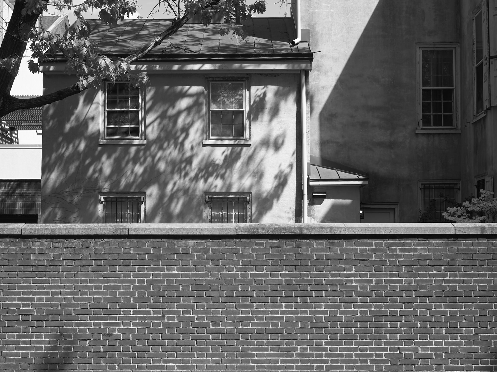 House by Rose Garden