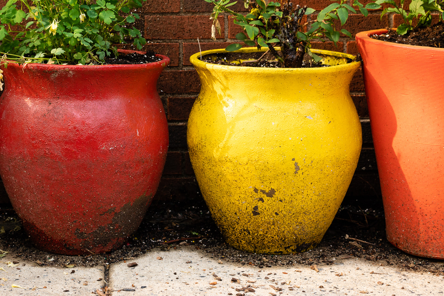 Colorful Pots