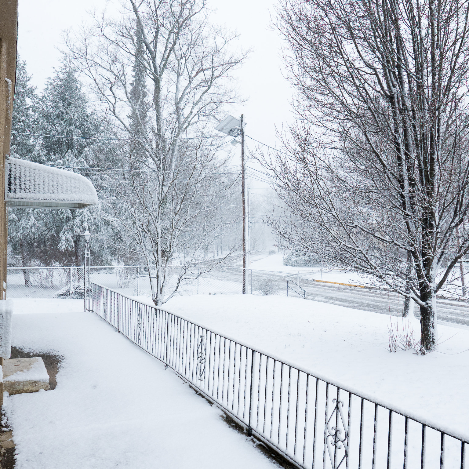Snow Day