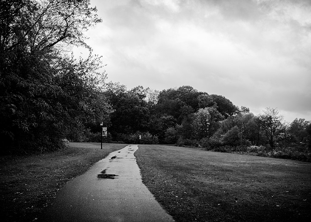A Walk in the Park