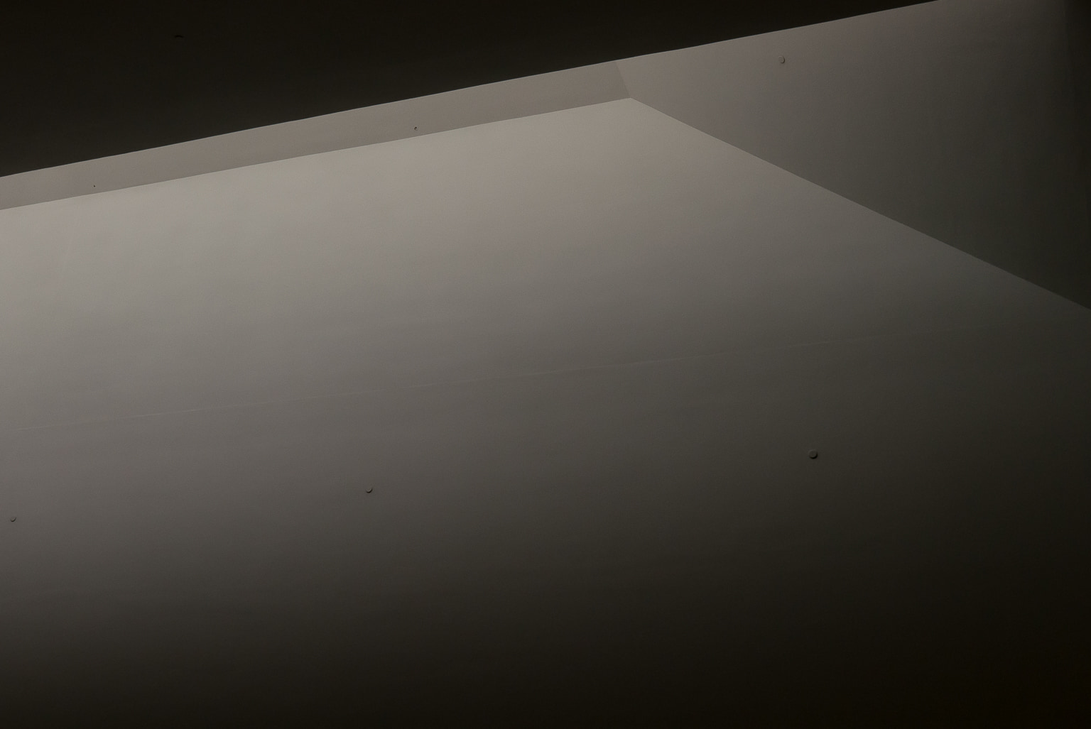 Barnes Foundation Skylight