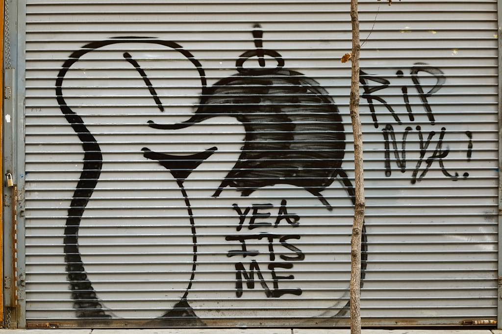 Graffiti on storefront security gate.