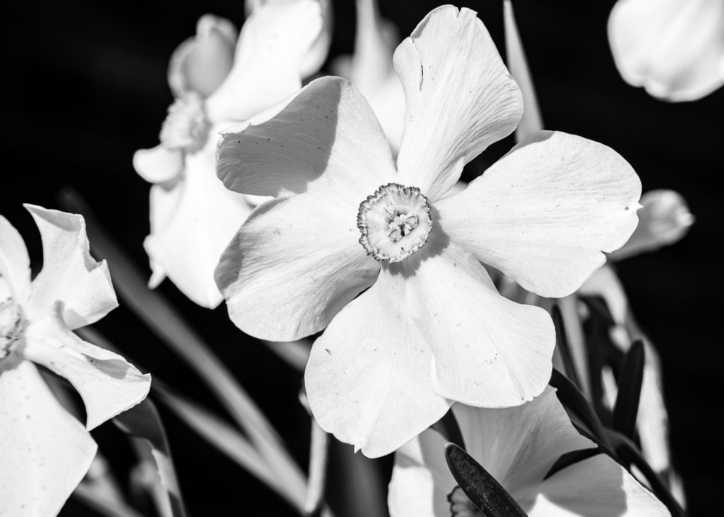 Spring Is Here!!!