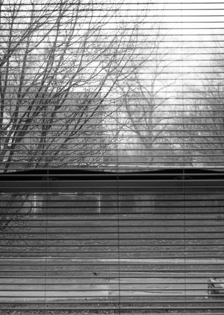 The View from my Sickbed