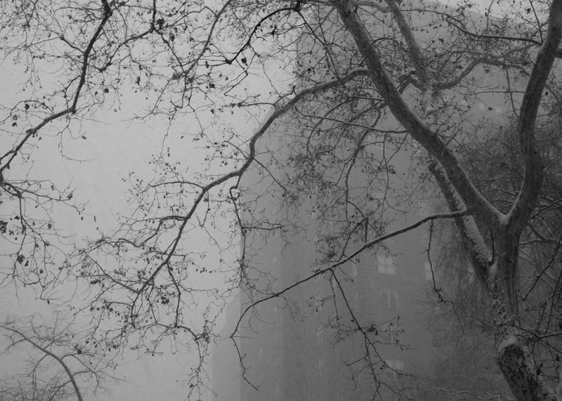 Rittenhouse Park, Philadelphia