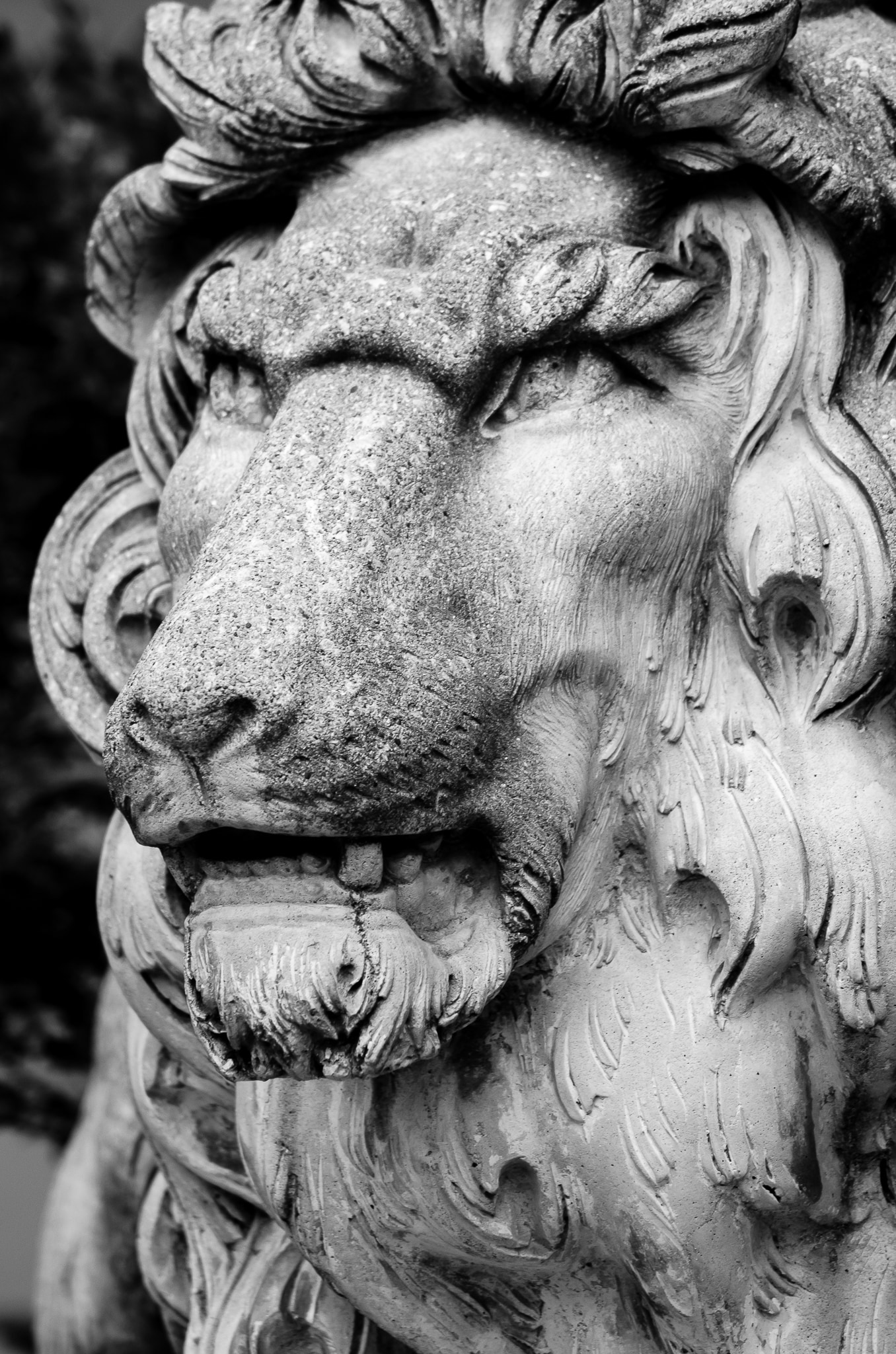 Statue of Lion