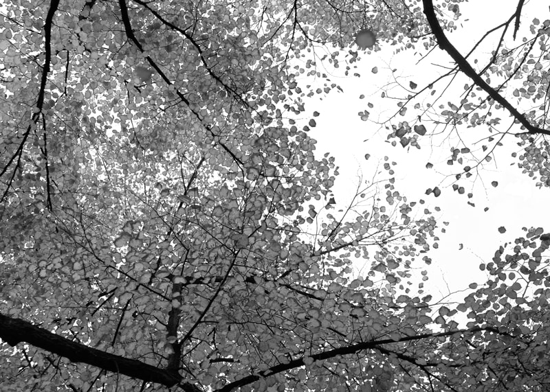 Washington Square Park, Philadelphia