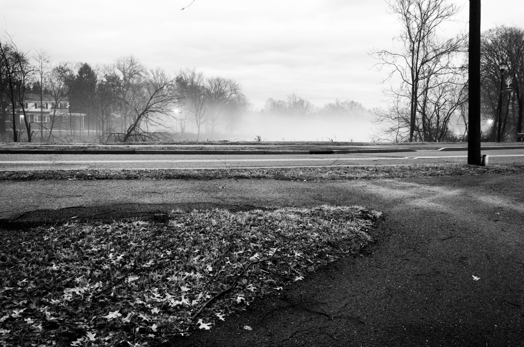 The Path Ahead Grows Foggy