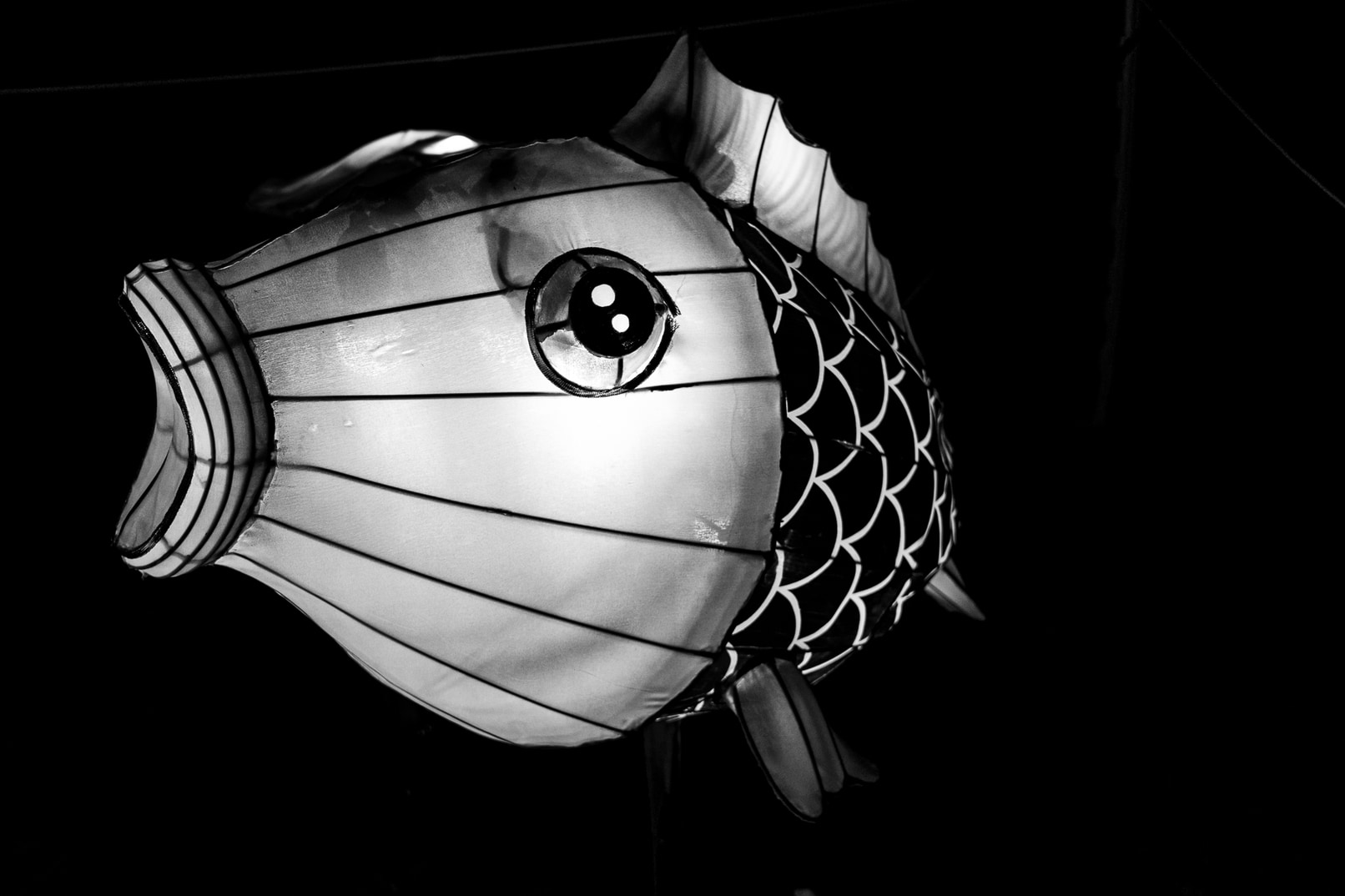 Fish Lantern