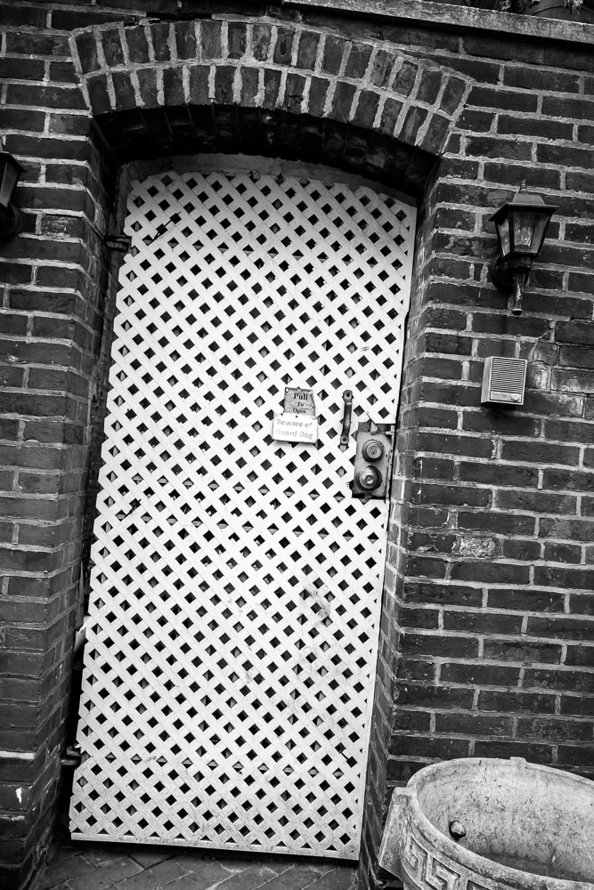 Door on Delancey (Pull to Open)