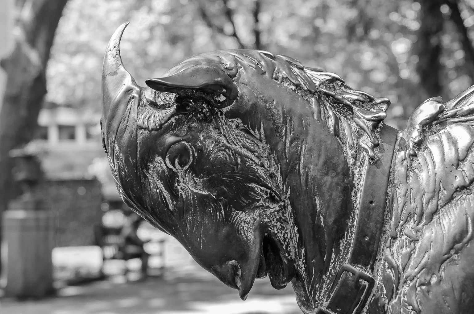 Goat Statue, Rittenhouse Park