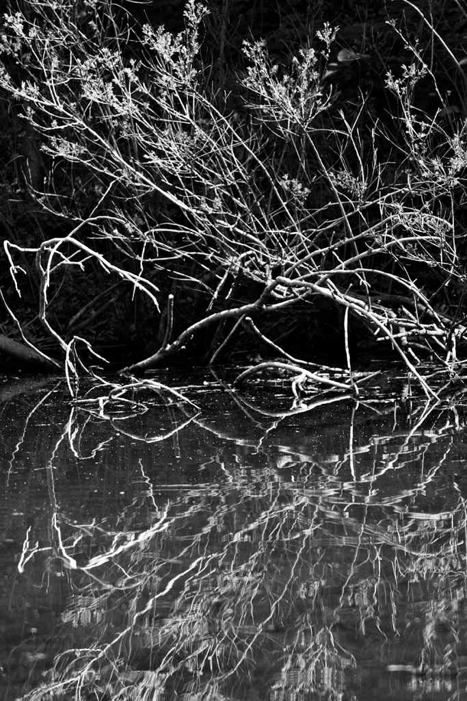 Edge Growth
