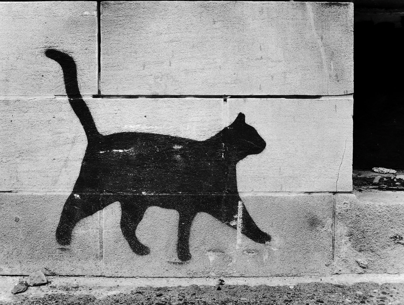 Alley Cat