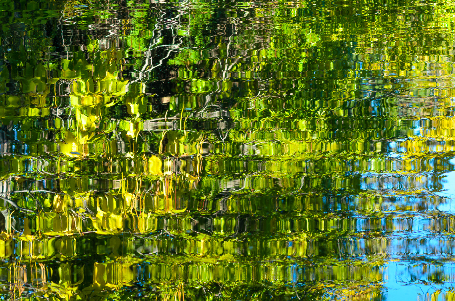 Reflections on Newton Lake