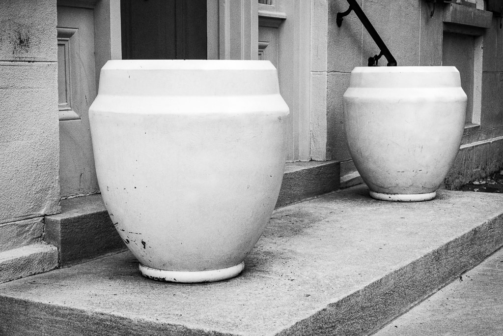 Empty Planters in the Time of Coronavirus
