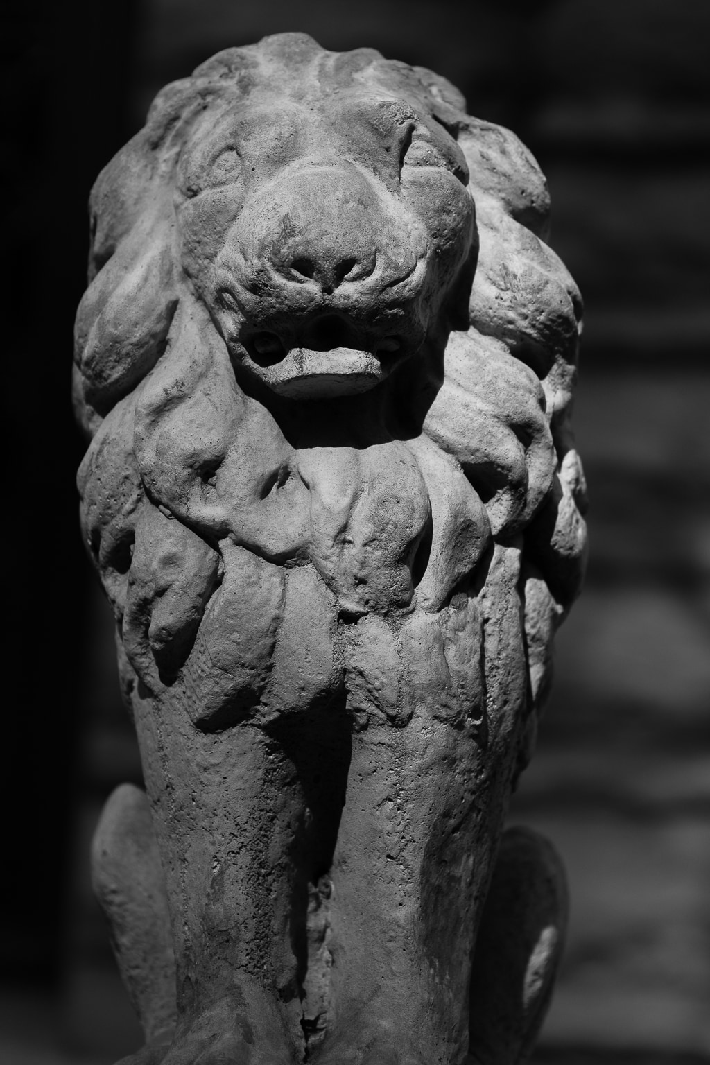 Little Lion