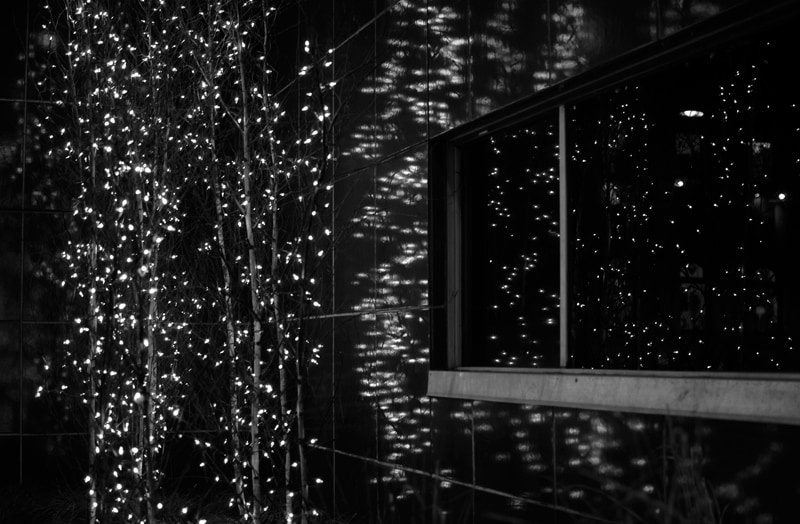 Shiny Rich People Lights