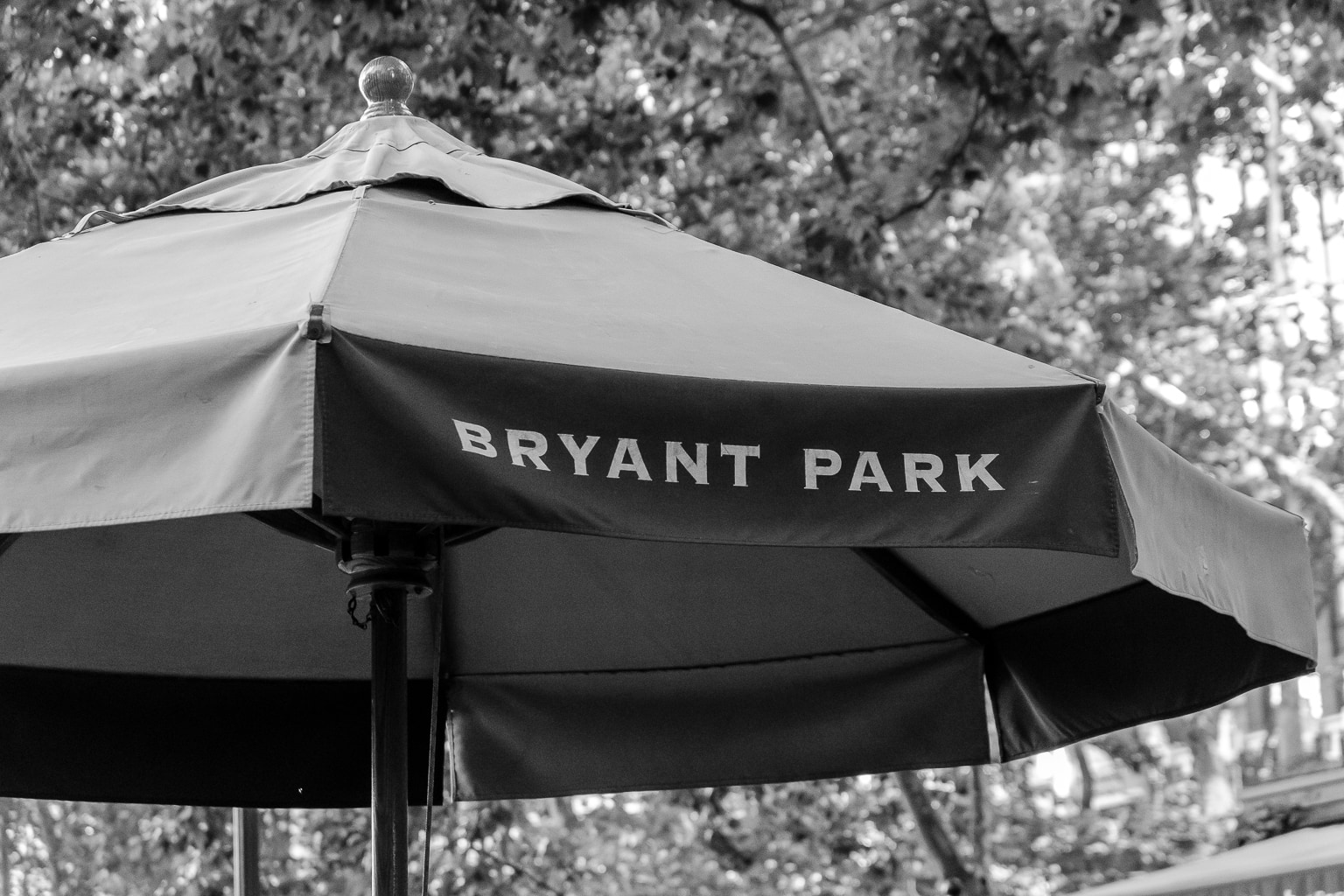 Killing Time in Bryant Park