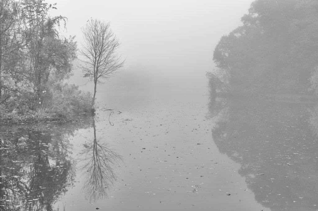 Foggy Morning on Newton Lake
